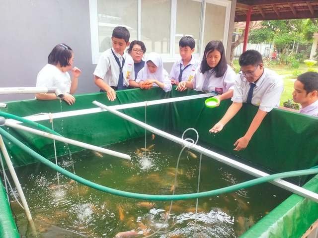 Siswa mengamati kolam budidaya ikan nila